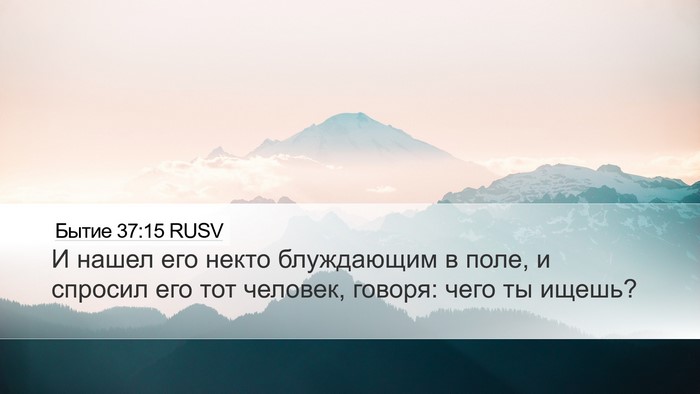Бытие 37:15 RUSV Desktop Wallpaper - И нашел его некто - Desktop Bible Verse Wallpaper