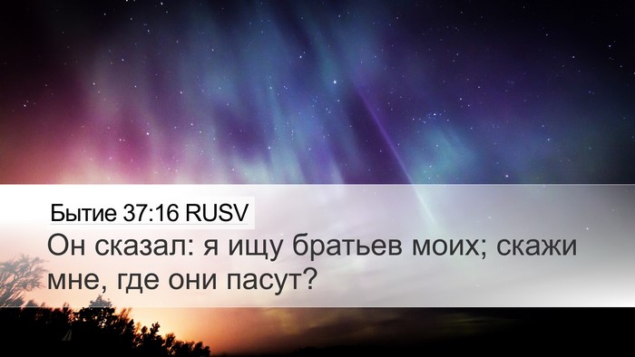Бытие 37:16 RUSV Desktop Wallpaper - Он сказал: я ищу братьев - Desktop Bible Verse Wallpaper