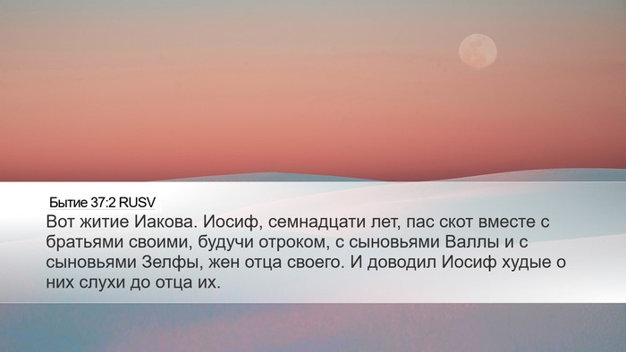 Бытие 37:2 RUSV Bible Verse Image