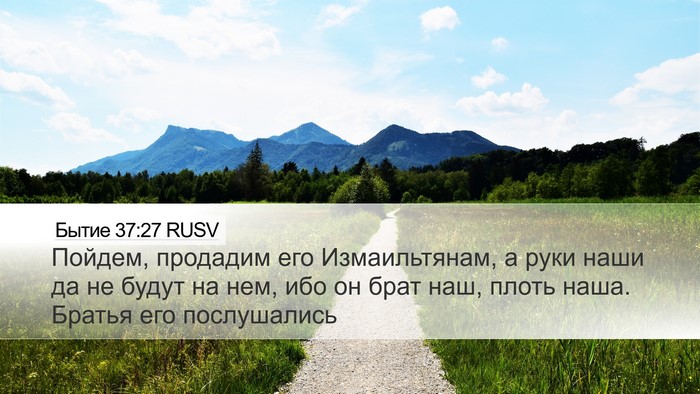 Бытие 37:27 RUSV Bible Verse Image