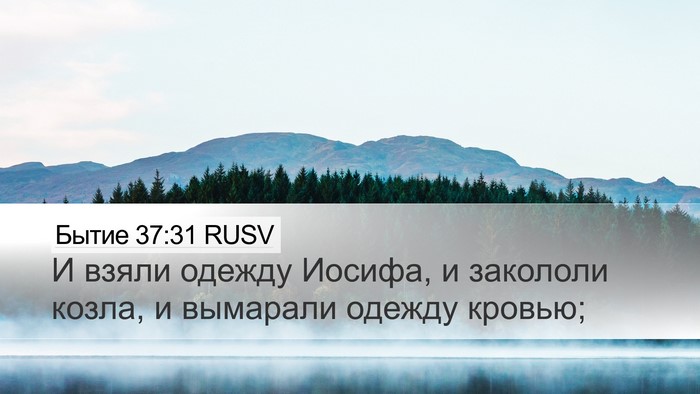 Бытие 37:31 RUSV Desktop Wallpaper - И взяли одежду Иосифа, и - Desktop Bible Verse Wallpaper