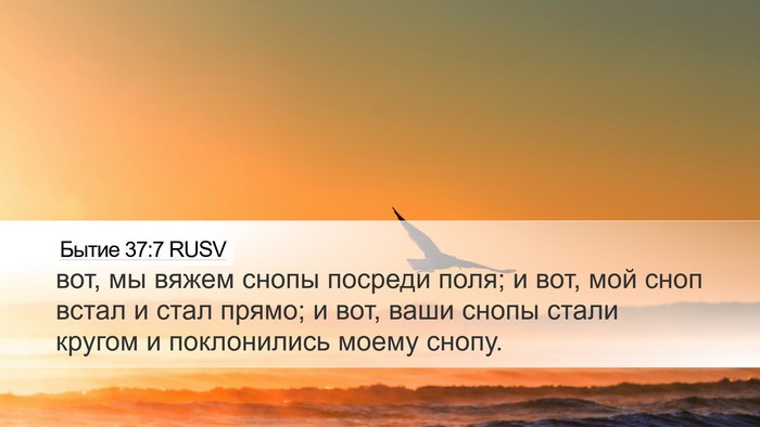 Бытие 37:7 RUSV Bible Verse Image