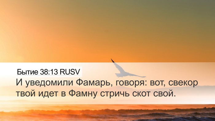 Бытие 38:13 RUSV Bible Verse Image