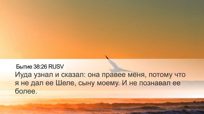 Бытие 38:26 RUSV Bible Verse Image
