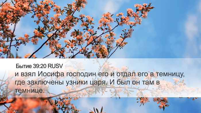Бытие 39:20 RUSV Bible Verse Image