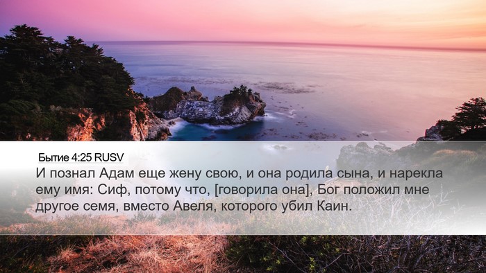 Бытие 4:25 RUSV Bible Verse Image
