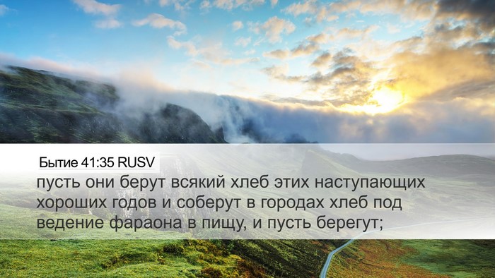 Бытие 41:35 RUSV Desktop Wallpaper - пусть они берут всякий - Desktop Bible Verse Wallpaper