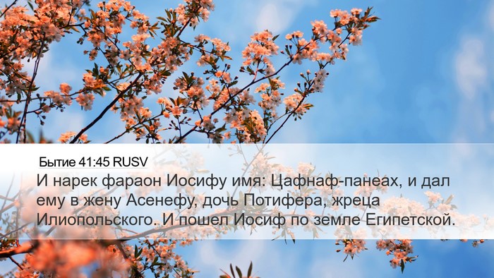 Бытие 41:45 RUSV Bible Verse Image