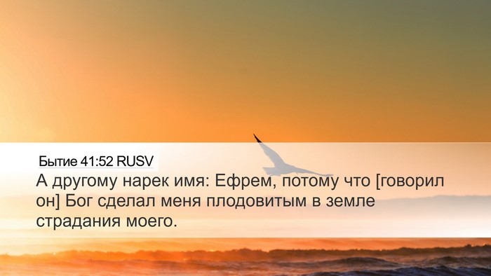 Бытие 41:52 RUSV Bible Verse Image