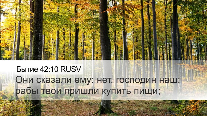 Бытие 42:10 RUSV Bible Verse Image