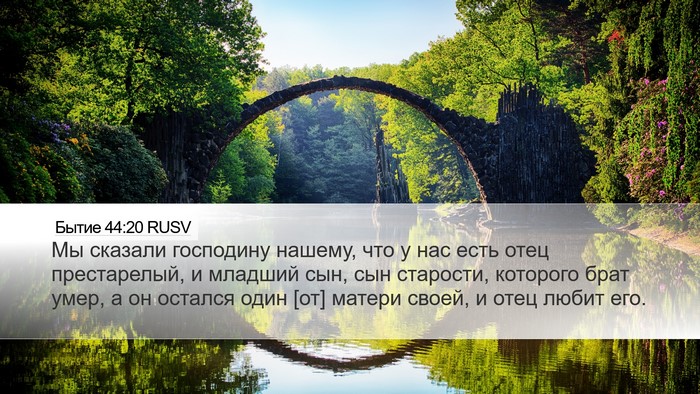 Бытие 44:20 RUSV Bible Verse Image