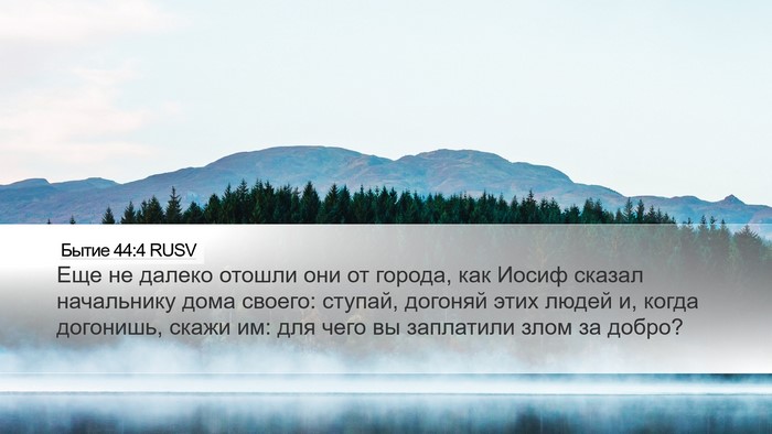 Бытие 44:4 RUSV Bible Verse Image