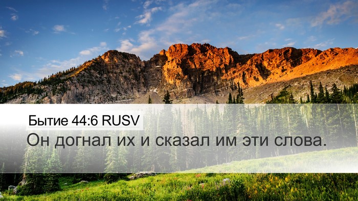 Бытие 44:6 RUSV Desktop Wallpaper - Он догнал их и сказал им - Desktop Bible Verse Wallpaper