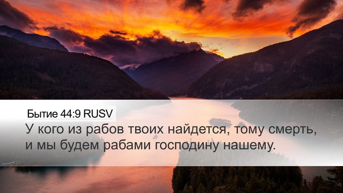 Бытие 44:9 RUSV Desktop Wallpaper - У кого из рабов твоих - Desktop Bible Verse Wallpaper