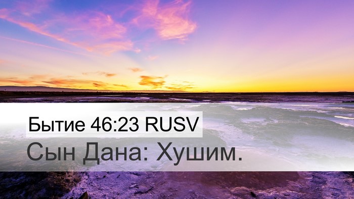 Бытие 46:23 RUSV Bible Verse Image