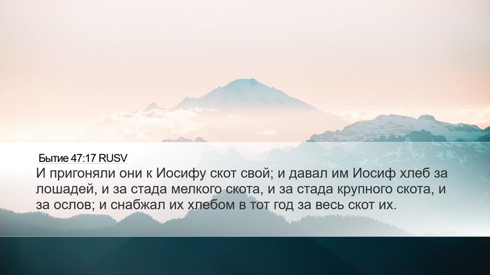 Бытие 47:17 RUSV Desktop Wallpaper - И пригоняли они к Иосифу - Desktop Bible Verse Wallpaper