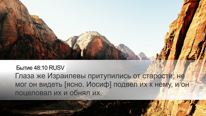 Бытие 48:10 RUSV Bible Verse Image