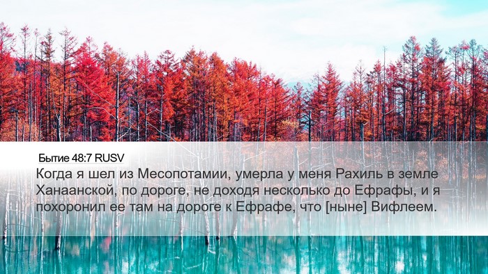 Бытие 48:7 RUSV Bible Verse Image