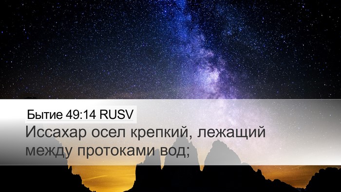 Бытие 49:14 RUSV Bible Verse Image