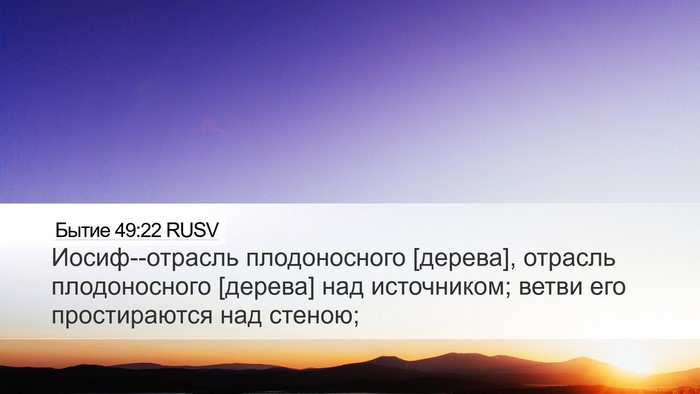 Бытие 49:22 RUSV Bible Verse Image