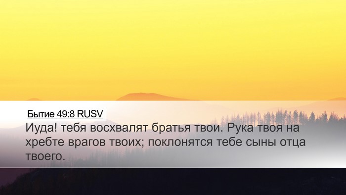 Бытие 49:8 RUSV Bible Verse Image