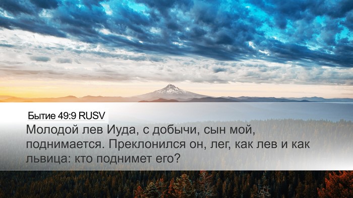 Бытие 49:9 RUSV Bible Verse Image