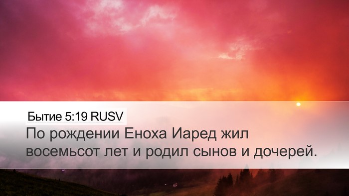 Бытие 5:19 RUSV Bible Verse Image
