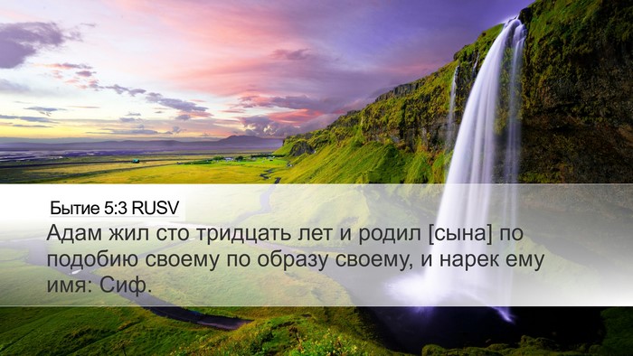 Бытие 5:3 RUSV Bible Verse Image