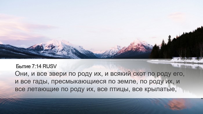 Бытие 7:14 RUSV Desktop Wallpaper - Они, и все звери по роду их, - Desktop Bible Verse Wallpaper