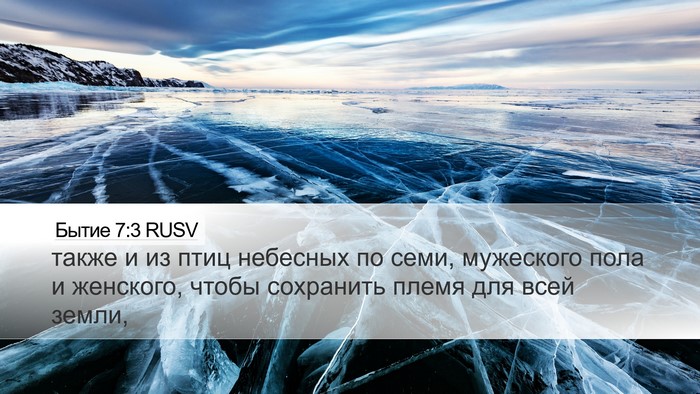Бытие 7:3 RUSV Desktop Wallpaper - также и из птиц небесных по - Desktop Bible Verse Wallpaper