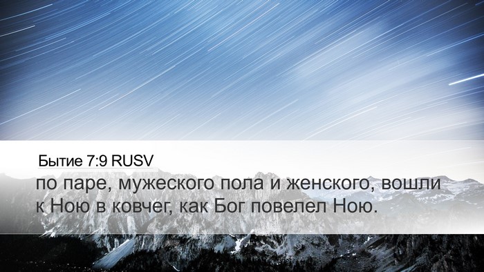 Бытие 7:9 RUSV Desktop Wallpaper - по паре, мужеского пола и - Desktop Bible Verse Wallpaper