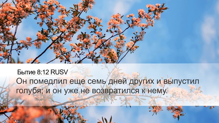 Бытие 8:12 RUSV Bible Verse Image