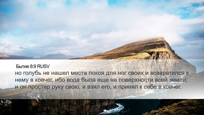 Бытие 8:9 RUSV Bible Verse Image