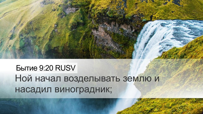 Бытие 9:20 RUSV Bible Verse Image