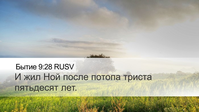 Бытие 9:28 RUSV Desktop Wallpaper - И жил Ной после потопа - Desktop Bible Verse Wallpaper