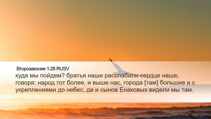 Второзаконие 1:28 RUSV Bible Verse Image