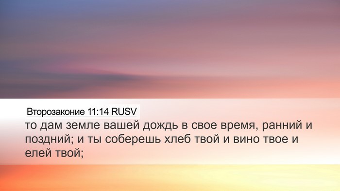 Второзаконие 11:14 RUSV Bible Verse Image