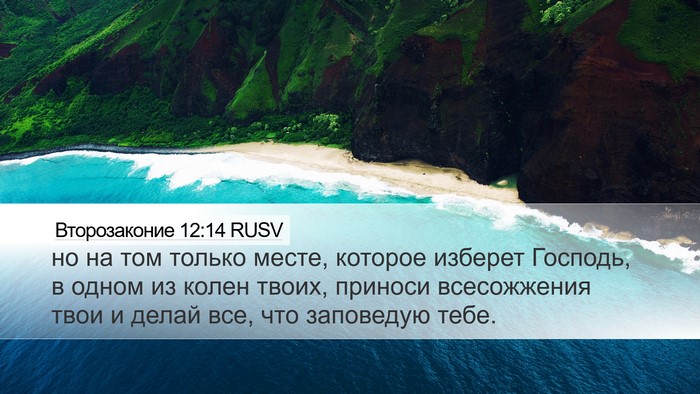 Второзаконие 12:14 RUSV Bible Verse Image