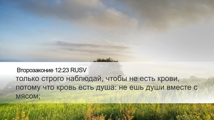 Второзаконие 12:23 RUSV Desktop Wallpaper - только строго наблюдай, - Desktop Bible Verse Wallpaper