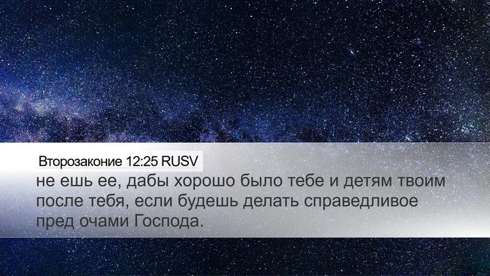 Второзаконие 12:25 RUSV Bible Verse Image