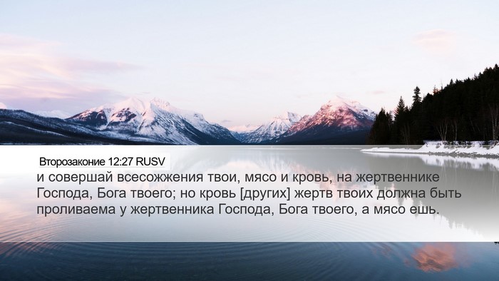 Второзаконие 12:27 RUSV Bible Verse Image