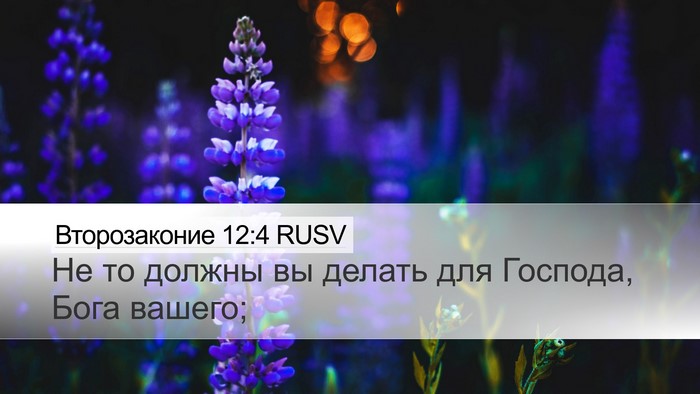 Второзаконие 12:4 RUSV Bible Verse Image