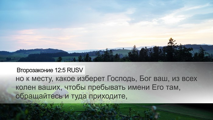 Второзаконие 12:5 RUSV Bible Verse Image