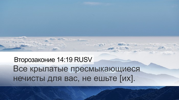 Второзаконие 14:19 RUSV Bible Verse Image