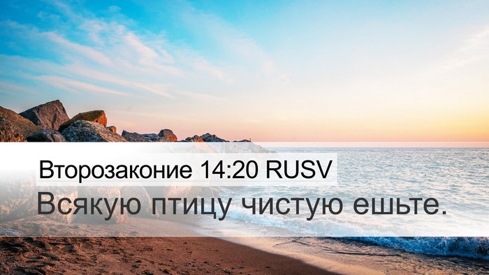Второзаконие 14:20 RUSV Desktop Wallpaper - Всякую птицу чистую - Desktop Bible Verse Wallpaper