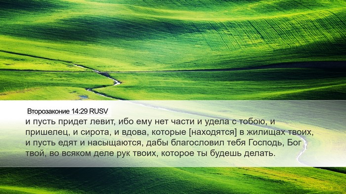 Второзаконие 14:29 RUSV Bible Verse Image