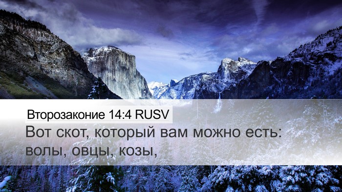 Второзаконие 14:4 RUSV Desktop Wallpaper - Вот скот, который вам можно - Desktop Bible Verse Wallpaper