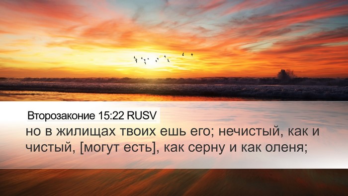 Второзаконие 15:22 RUSV Desktop Wallpaper - но в жилищах твоих ешь его; - Desktop Bible Verse Wallpaper
