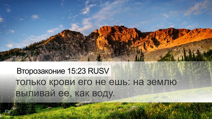 Второзаконие 15:23 RUSV Desktop Wallpaper - только крови его не ешь: на - Desktop Bible Verse Wallpaper