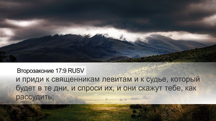 Второзаконие 17:9 RUSV Bible Verse Image